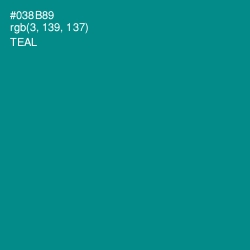 #038B89 - Teal Color Image