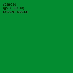 #038C30 - Forest Green Color Image