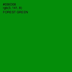 #038D08 - Forest Green Color Image