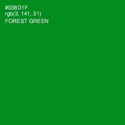 #038D1F - Forest Green Color Image