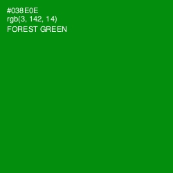 #038E0E - Forest Green Color Image