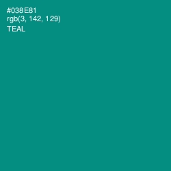 #038E81 - Teal Color Image