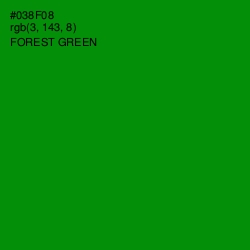 #038F08 - Forest Green Color Image