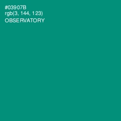 #03907B - Observatory Color Image