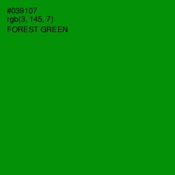 #039107 - Forest Green Color Image