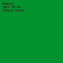 #03922D - Forest Green Color Image