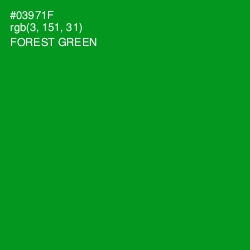 #03971F - Forest Green Color Image