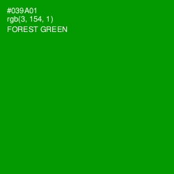 #039A01 - Forest Green Color Image