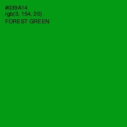 #039A14 - Forest Green Color Image