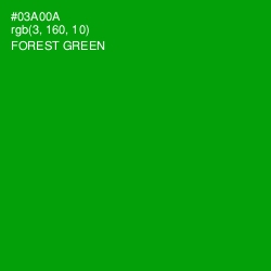 #03A00A - Forest Green Color Image