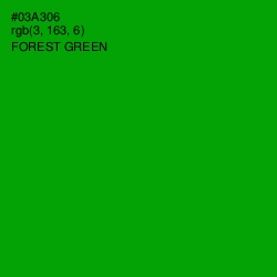 #03A306 - Forest Green Color Image