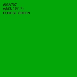 #03A707 - Forest Green Color Image