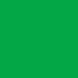 #03A746 - Green Haze Color Image