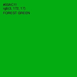 #03AC11 - Forest Green Color Image