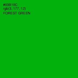 #03B10C - Forest Green Color Image