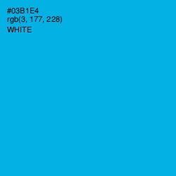 #03B1E4 - Cerulean Color Image