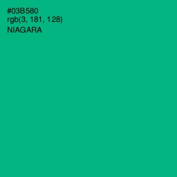 #03B580 - Niagara Color Image