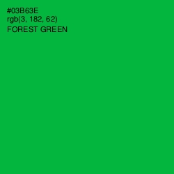 #03B63E - Forest Green Color Image