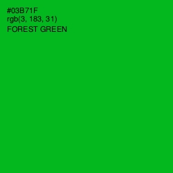 #03B71F - Forest Green Color Image