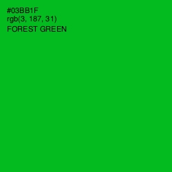 #03BB1F - Forest Green Color Image