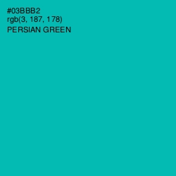 #03BBB2 - Persian Green Color Image
