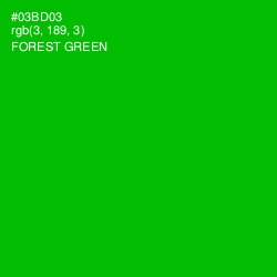 #03BD03 - Forest Green Color Image