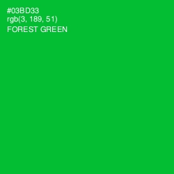 #03BD33 - Forest Green Color Image