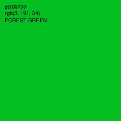 #03BF22 - Forest Green Color Image