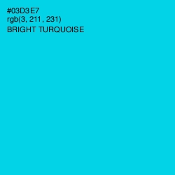 #03D3E7 - Bright Turquoise Color Image