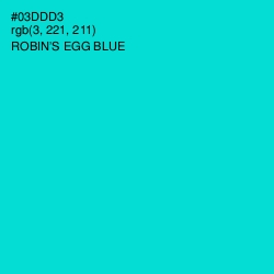 #03DDD3 - Robin's Egg Blue Color Image