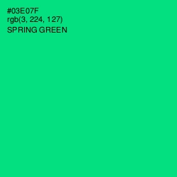 #03E07F - Spring Green Color Image