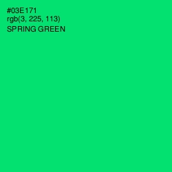 #03E171 - Spring Green Color Image