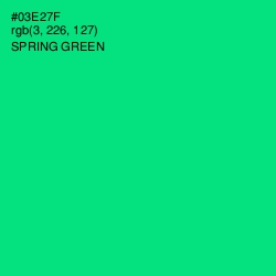 #03E27F - Spring Green Color Image