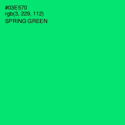 #03E570 - Spring Green Color Image
