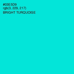 #03E5D9 - Bright Turquoise Color Image