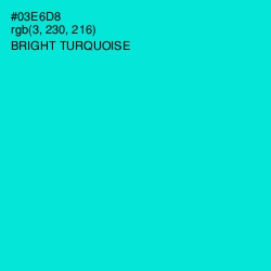 #03E6D8 - Bright Turquoise Color Image