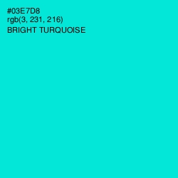 #03E7D8 - Bright Turquoise Color Image