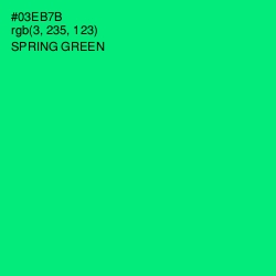 #03EB7B - Spring Green Color Image