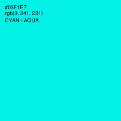 #03F1E7 - Cyan / Aqua Color Image