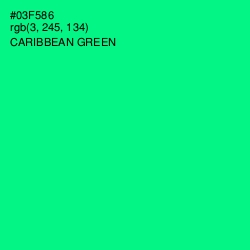 #03F586 - Caribbean Green Color Image