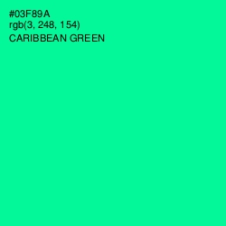 #03F89A - Caribbean Green Color Image