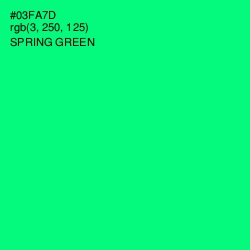 #03FA7D - Spring Green Color Image