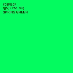 #03FB5F - Spring Green Color Image