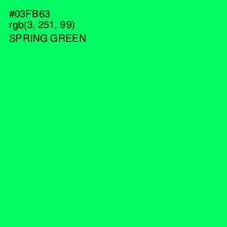 #03FB63 - Spring Green Color Image