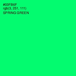 #03FB6F - Spring Green Color Image