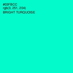 #03FBCC - Bright Turquoise Color Image