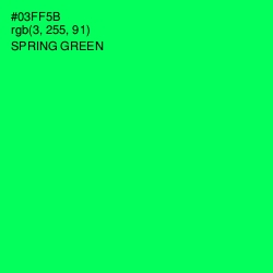 #03FF5B - Spring Green Color Image