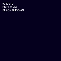 #04001D - Black Russian Color Image