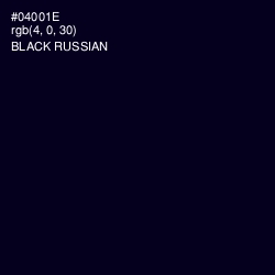 #04001E - Black Russian Color Image