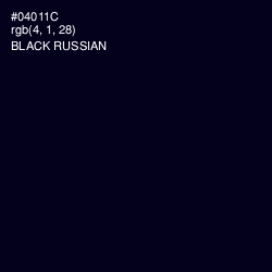 #04011C - Black Russian Color Image